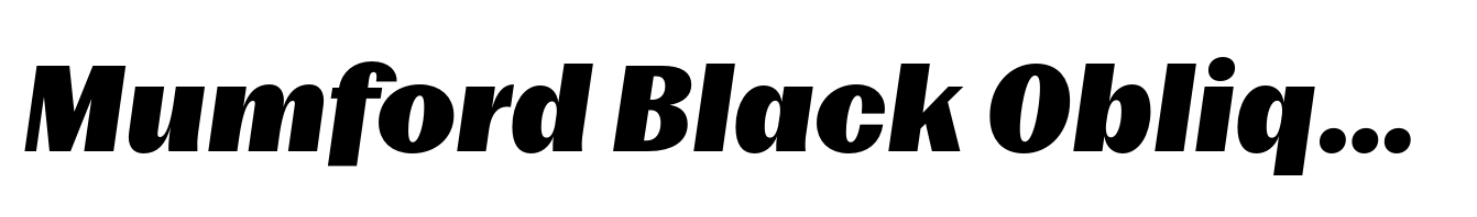 Mumford Black Oblique